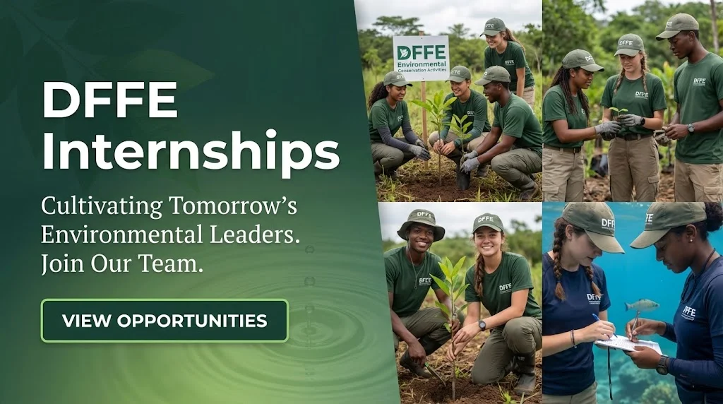 DFFE Internships for Fresh Graduates With Stipend